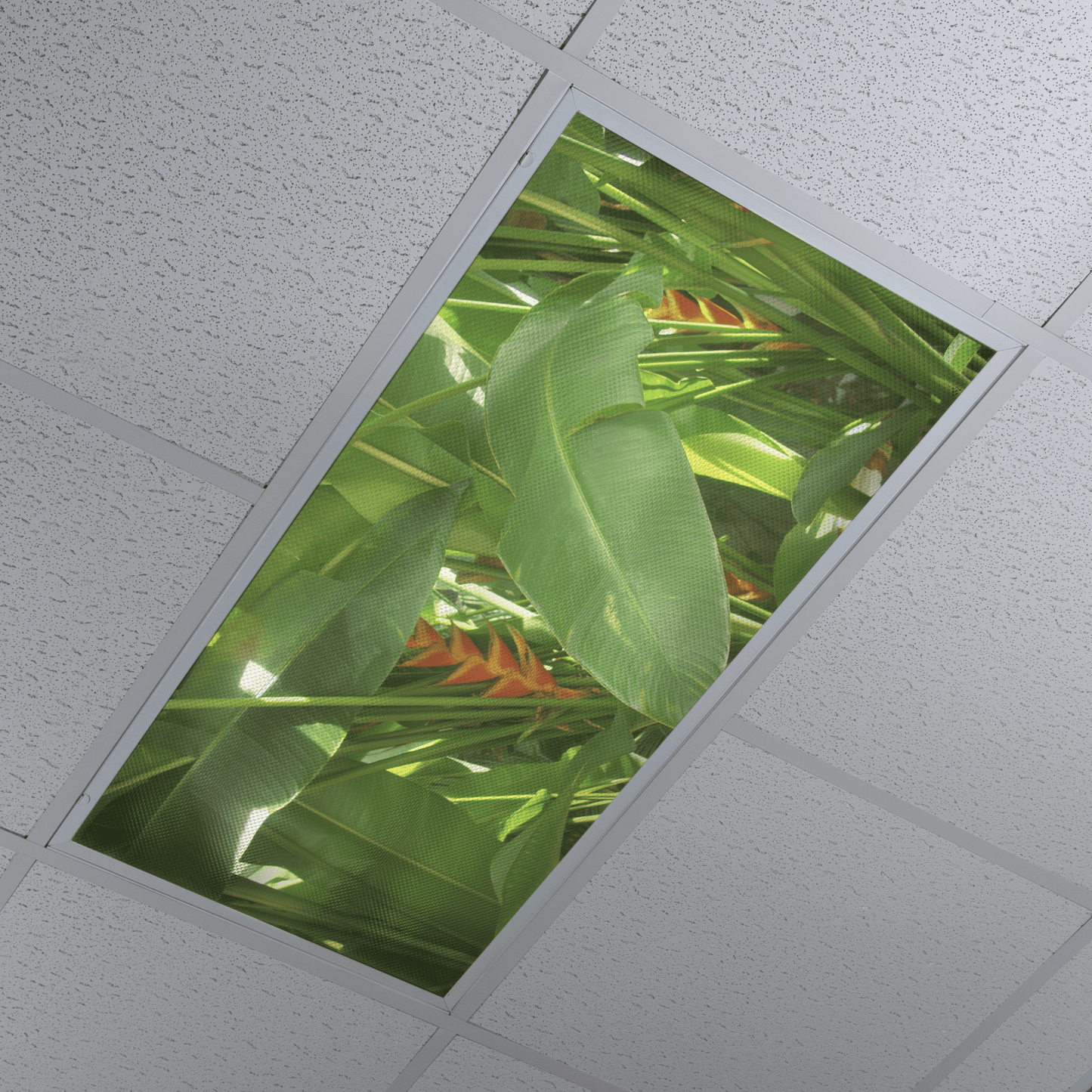 DesignScape - 2'x4' Jungle - Apollo Design Made