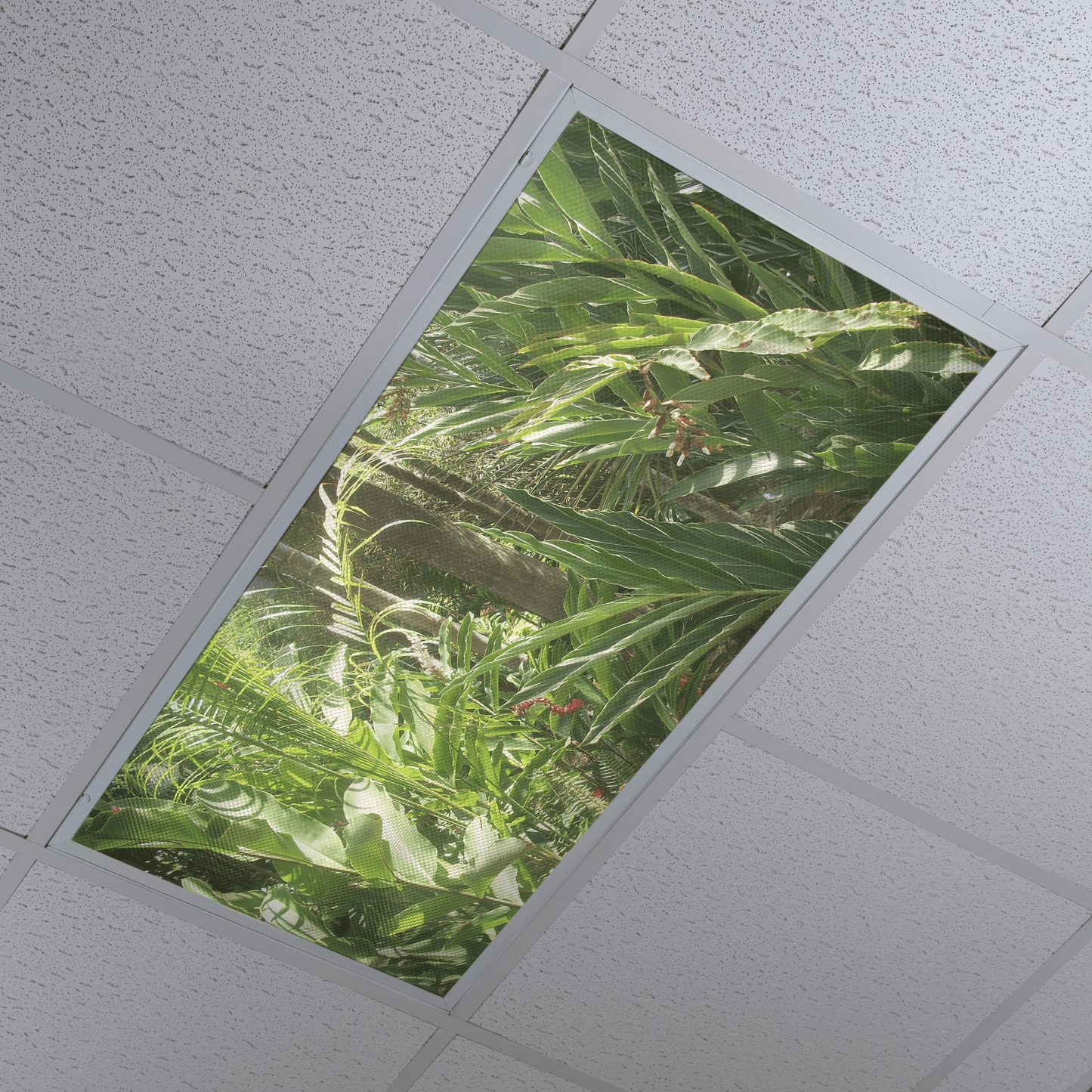 DesignScape - 2'x4' Jungle Walk - Apollo Design Made
