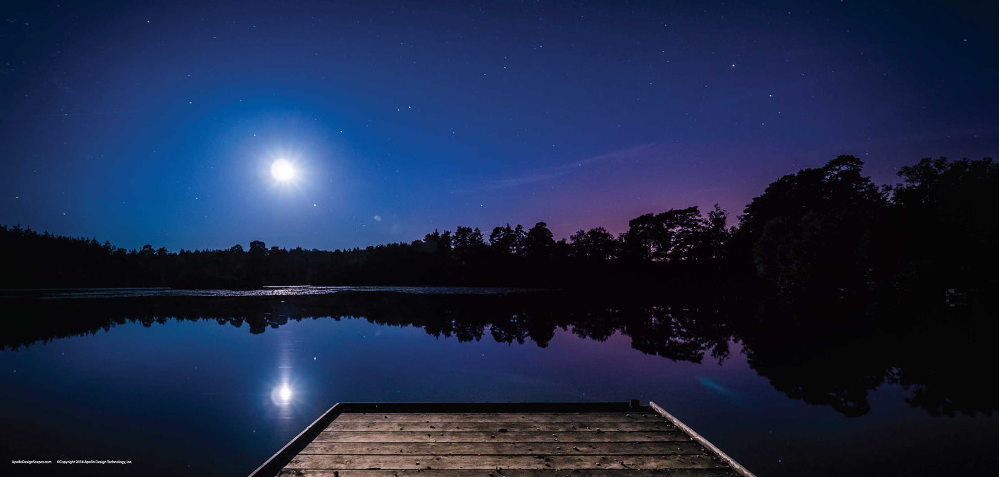 DesignScape - 2'x4' Lake Life - Apollo Design Made