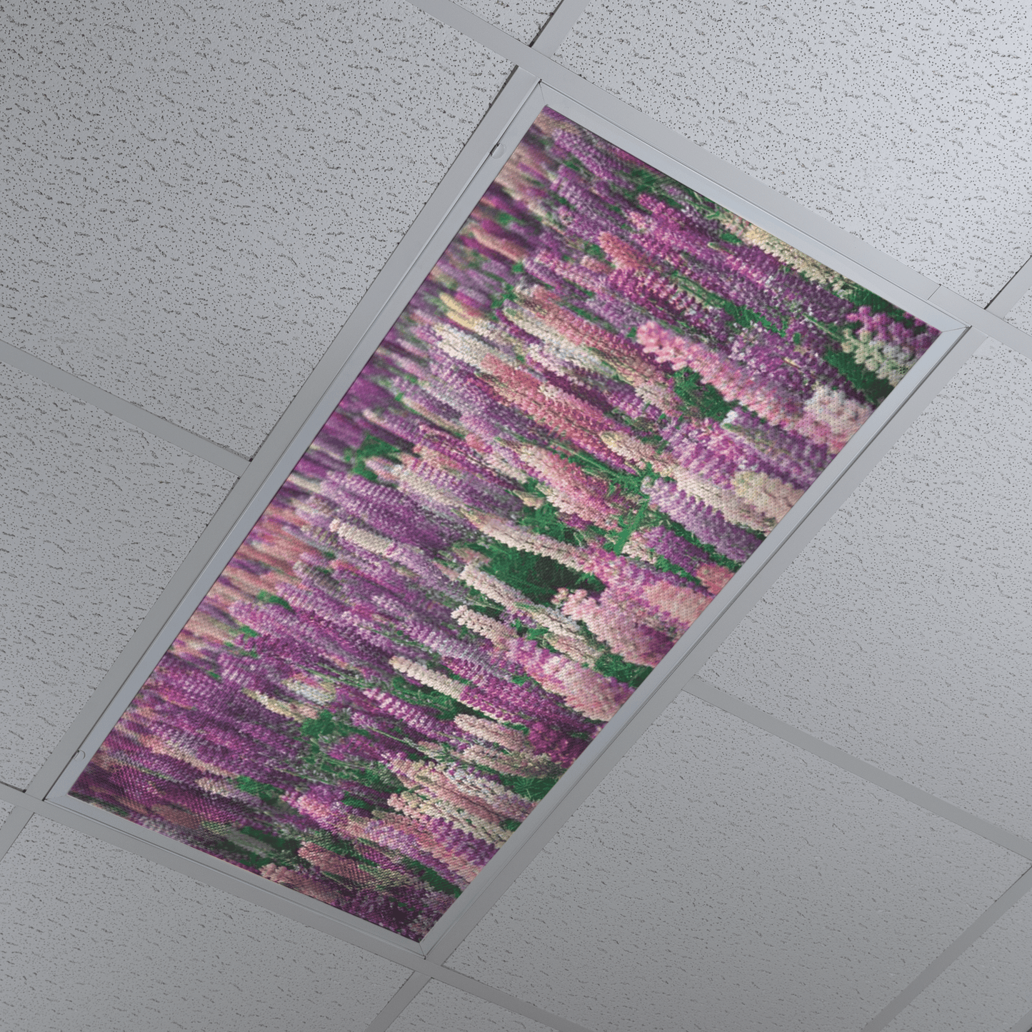 DesignScape - 2'x4' Lavender Fields - Apollo Design Made