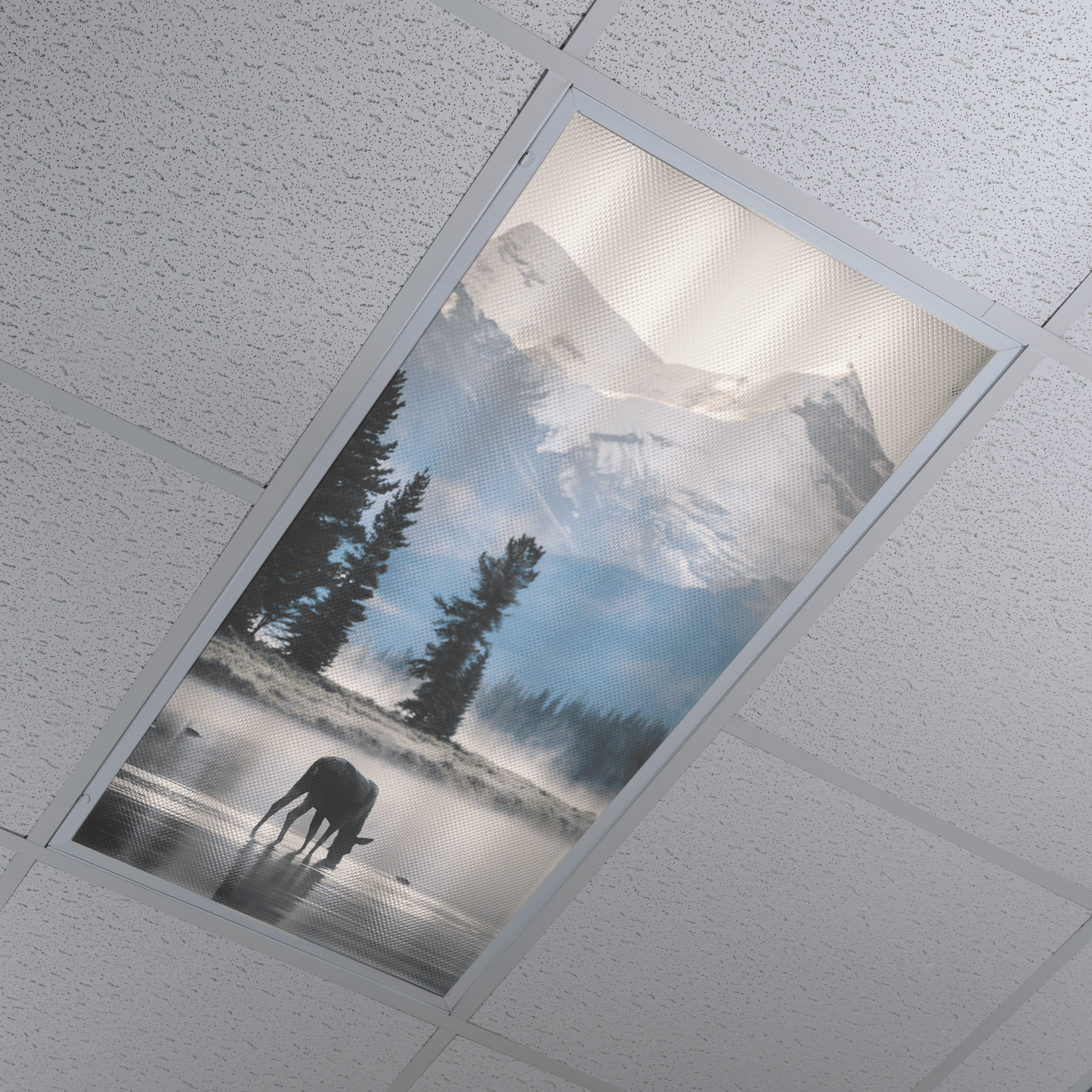 DesignScape - 2'x4' Mountain View - Apollo Design Made