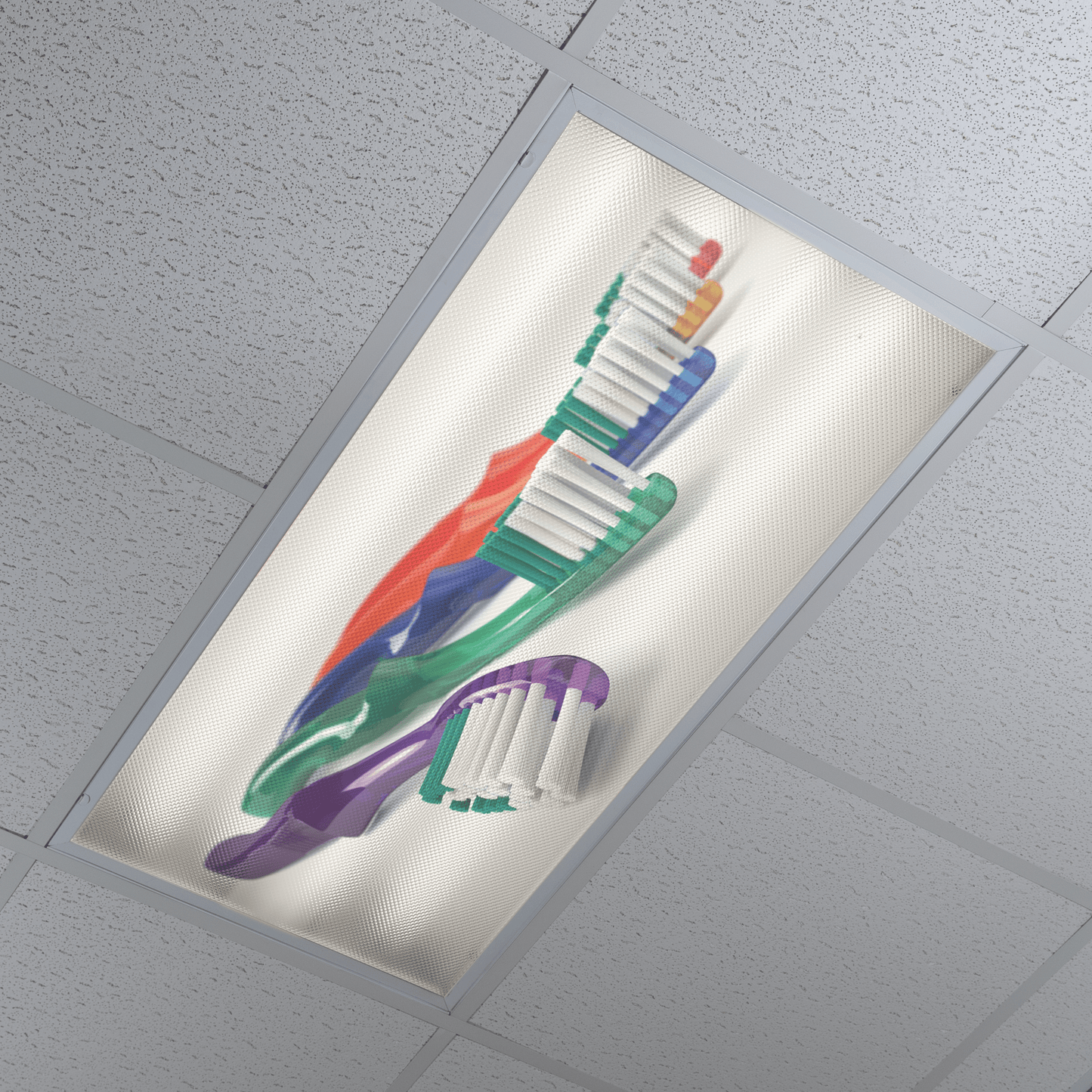 DesignScape - 2'x4' Multi-Color Toothbrushes - Apollo Design Made