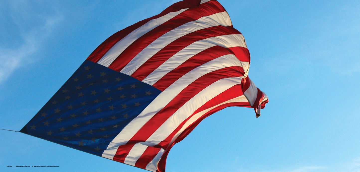 DesignScape - 2'x4' Old Glory - Apollo Design Made