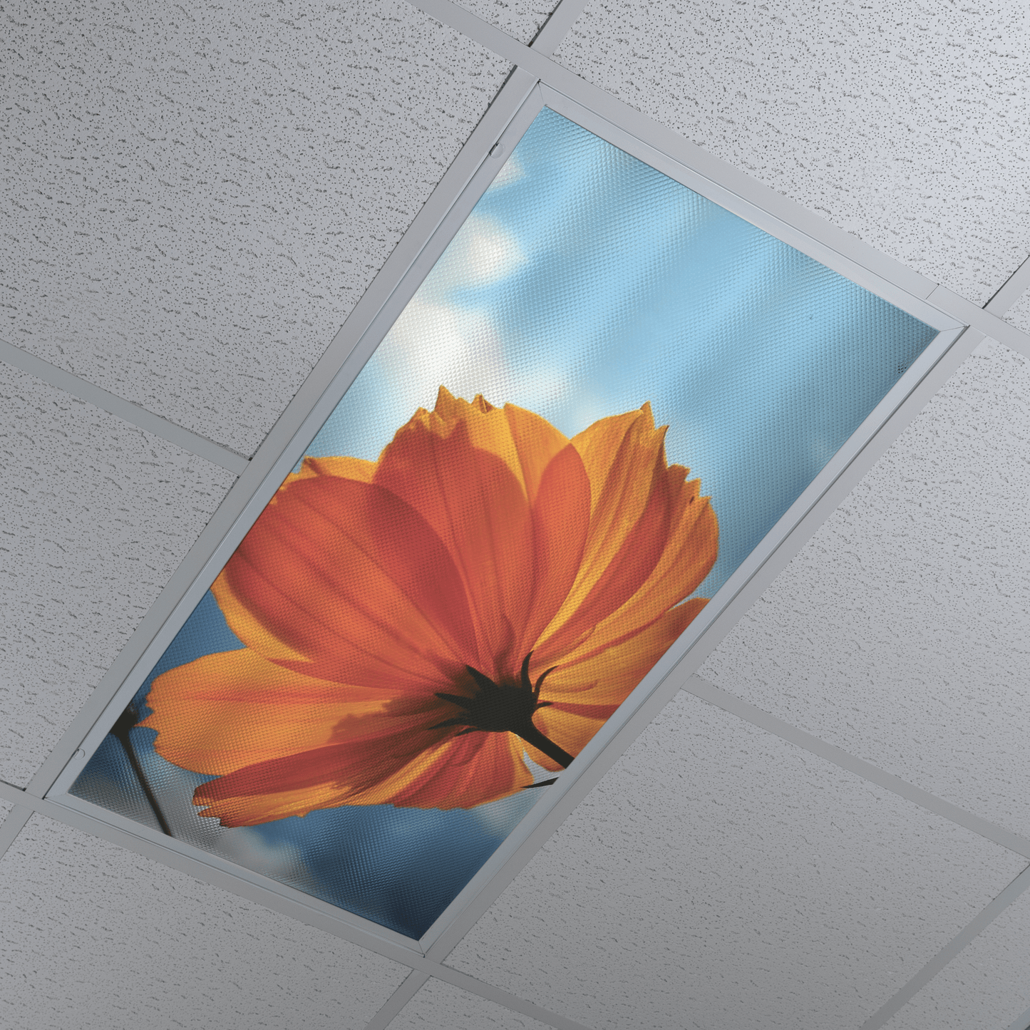 DesignScape - 2'x4' Orange Daisy - Apollo Design Made