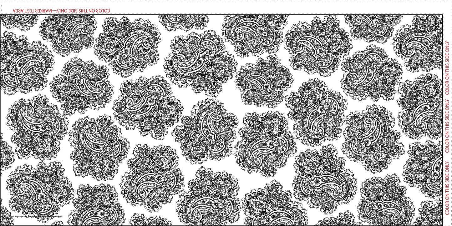 DesignScape - 2'x4' Paisley Dancing - Apollo Design Made