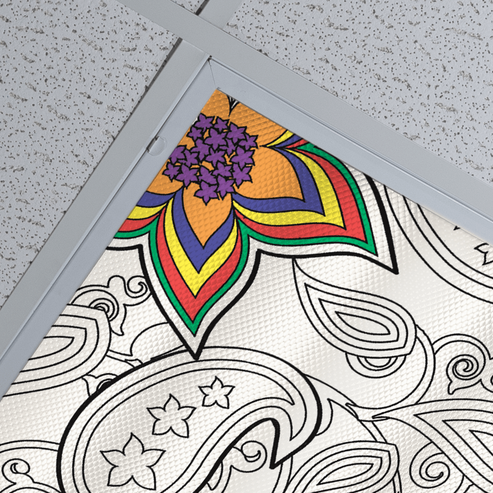 DesignScape - 2'x4' Paisley Power - Apollo Design Made