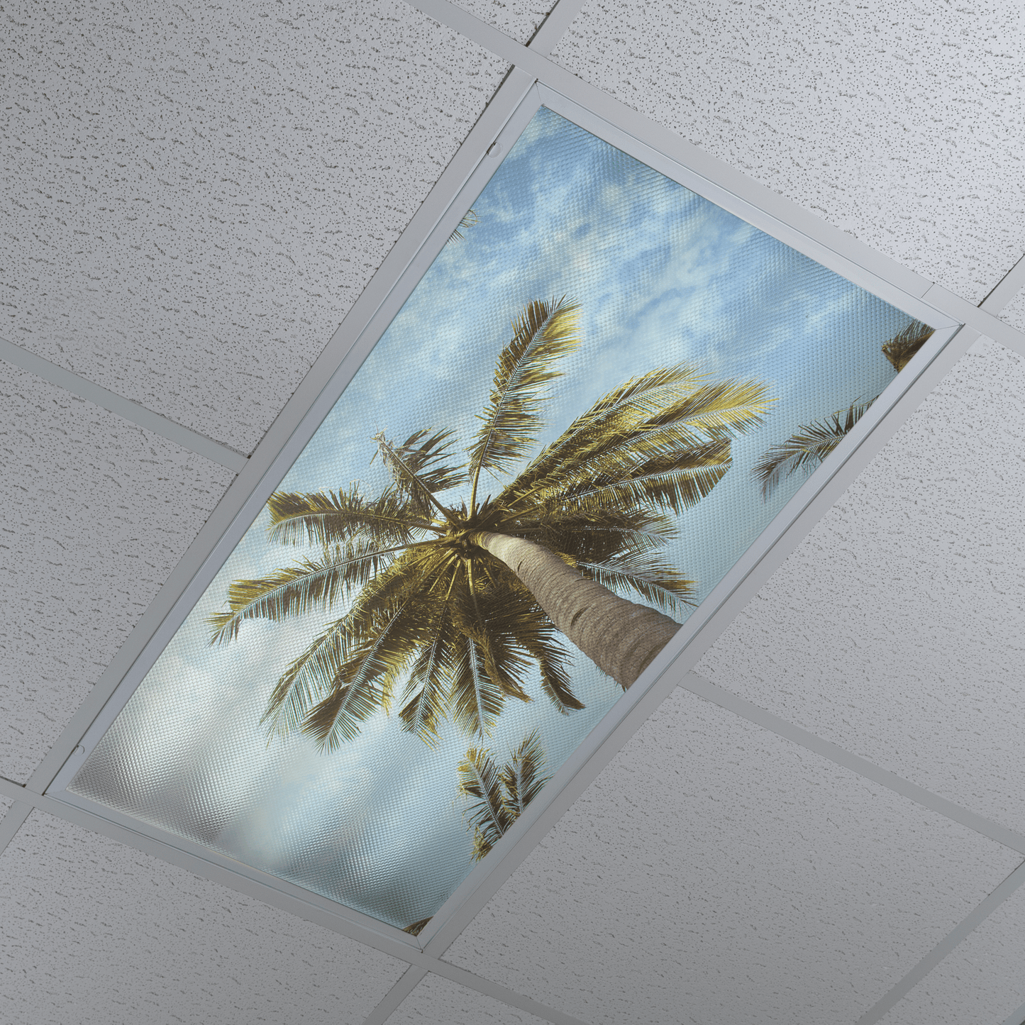 DesignScape - 2'x4' Palm Tree - Apollo Design Made