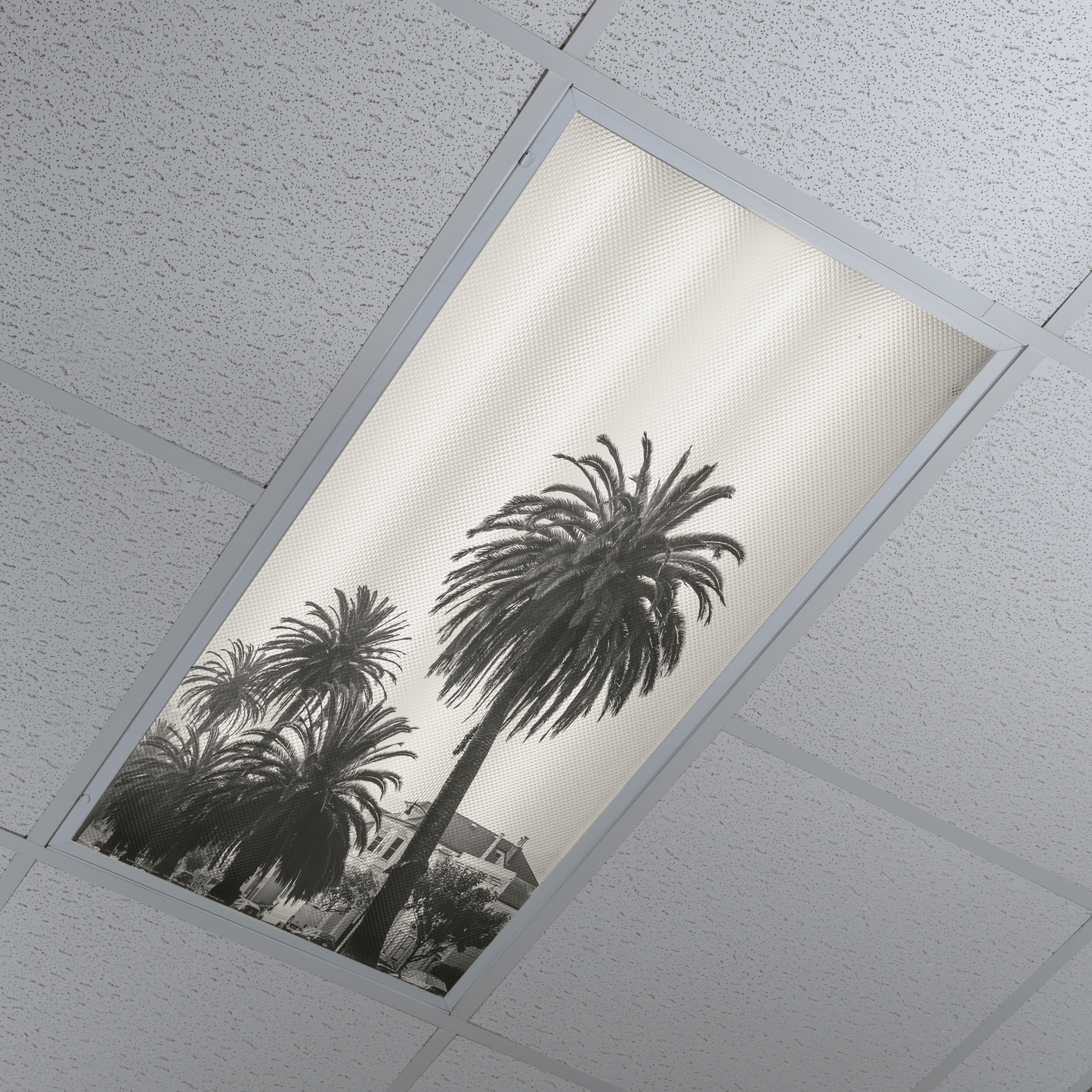 DesignScape - 2'x4' Palms - Apollo Design Made