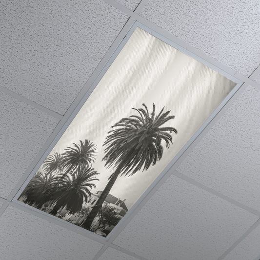 DesignScape - 2'x4' Palms - Apollo Design Made