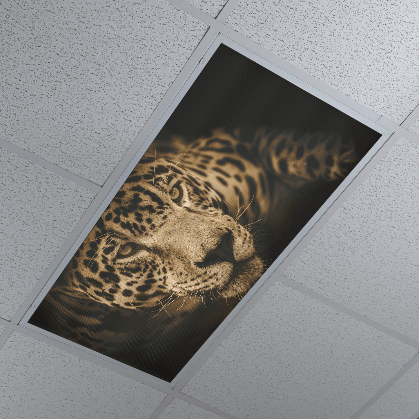 DesignScape - 2'x4' Panthera Onca - Apollo Design Made