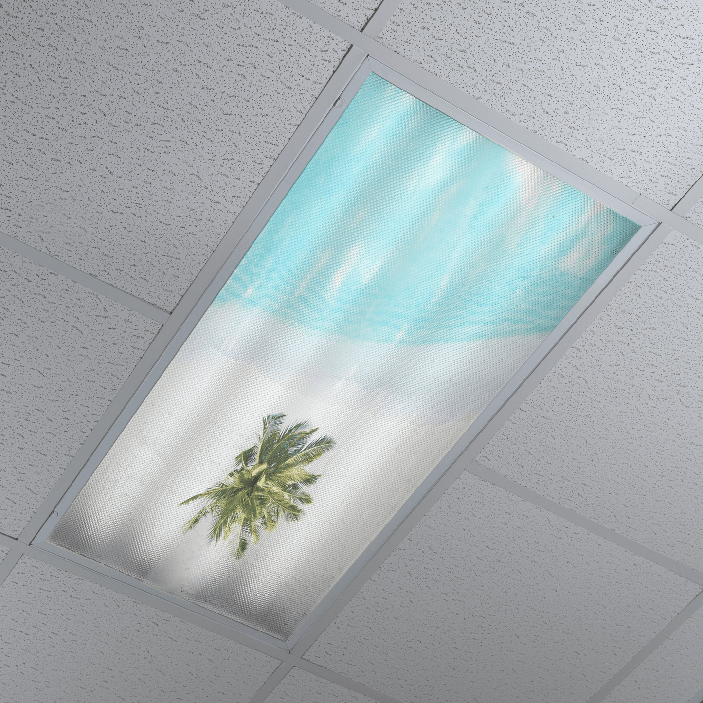 DesignScape - 2'x4' Paradise View Down - Apollo Design Made