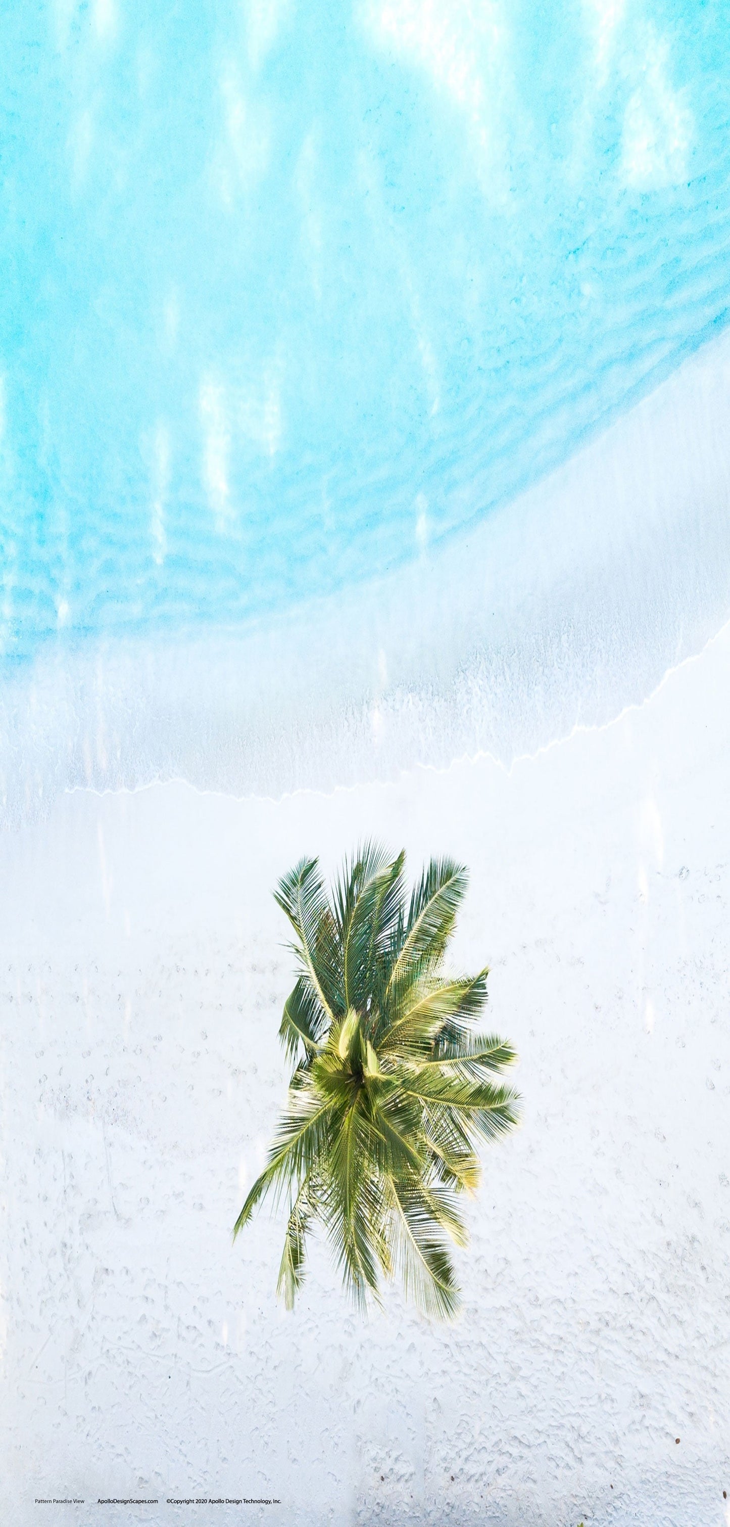 DesignScape - 2'x4' Paradise View Down - Apollo Design Made