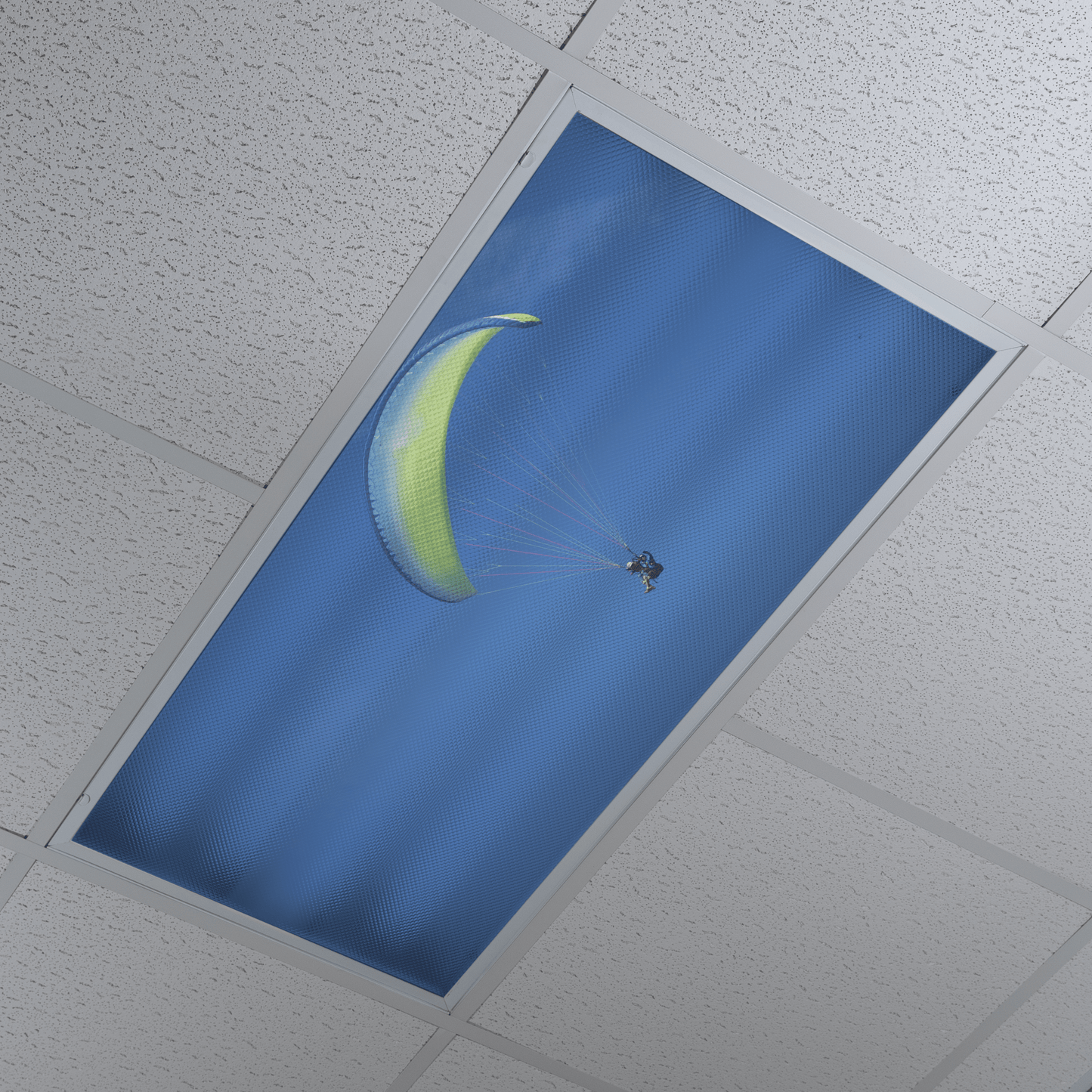 DesignScape - 2'x4' Paragliding - Apollo Design Made