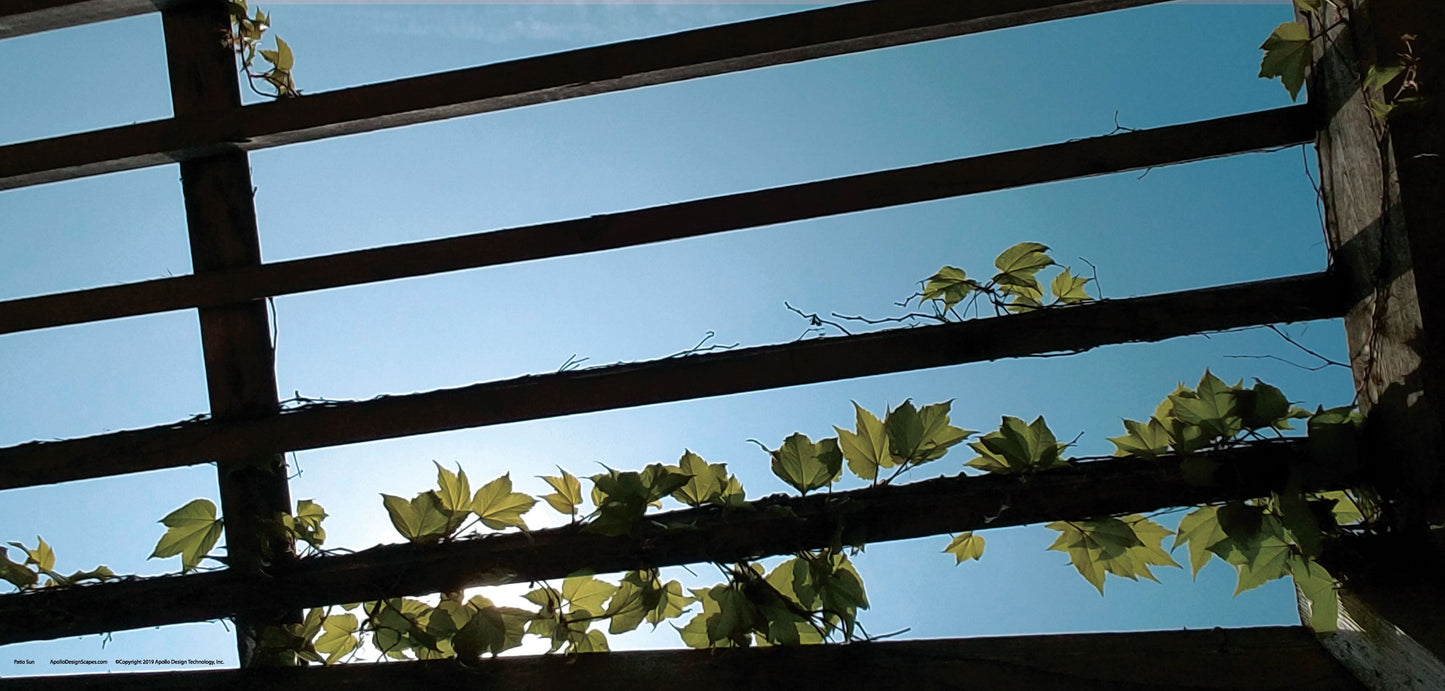 DesignScape - 2'x4' Patio Sun - Apollo Design Made