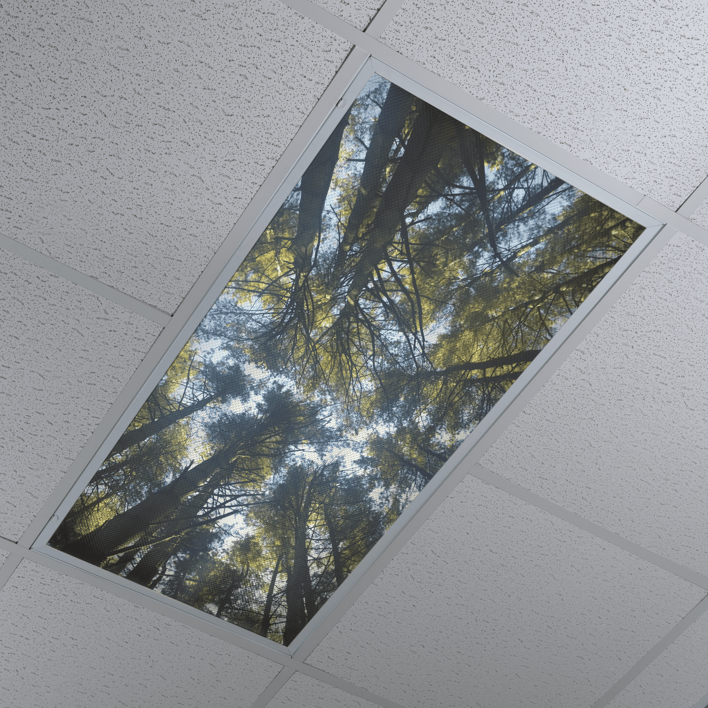 DesignScape - 2'x4' Peaceful Treees - Apollo Design Made