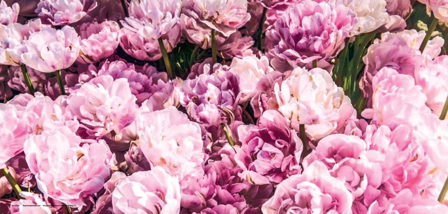 DesignScape - 2'x4' Peony Field - Apollo Design Made