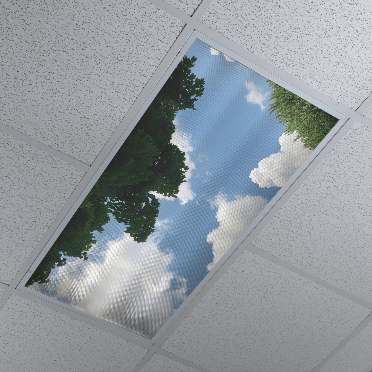 DesignScape - 2'x4' Picnic View - Apollo Design Made