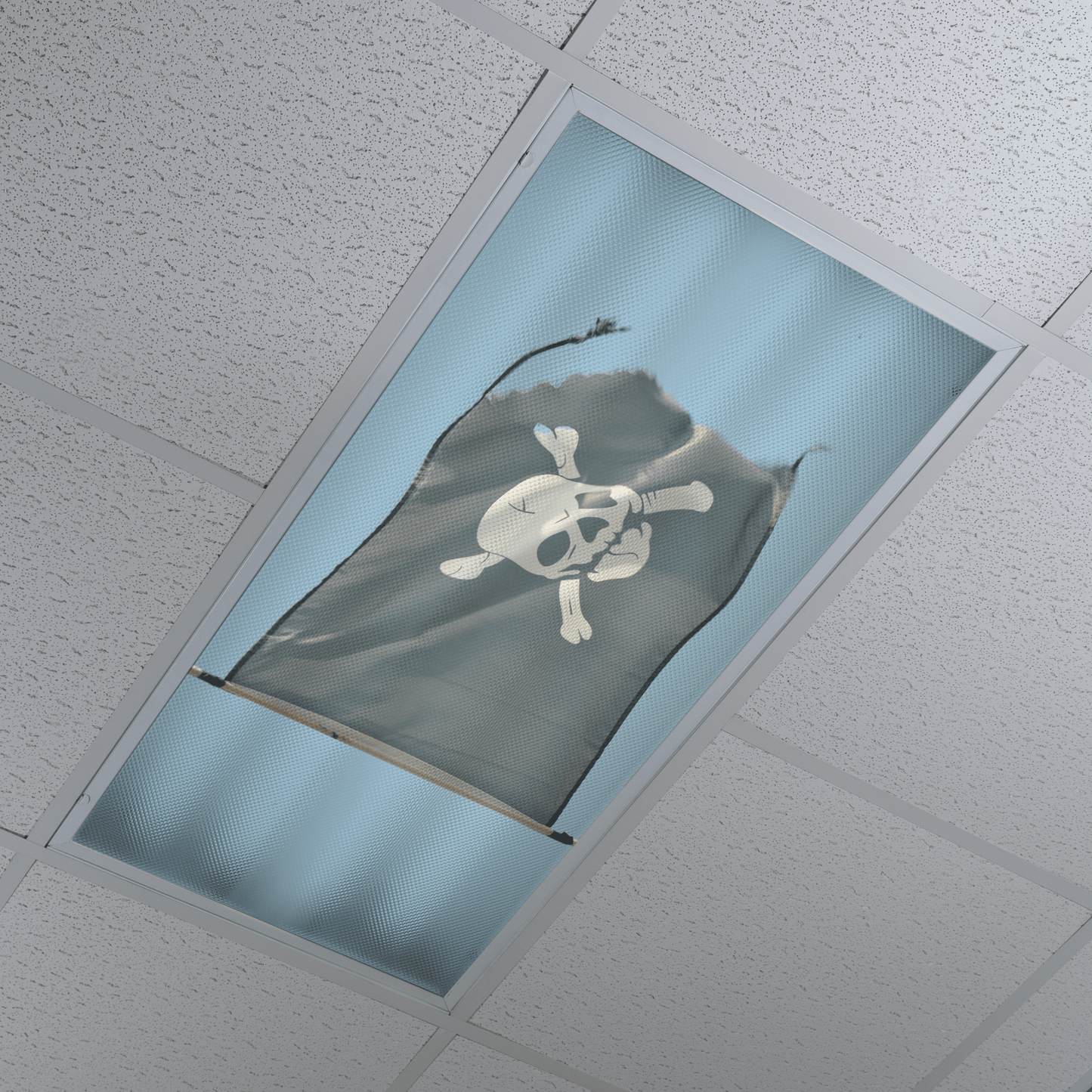 DesignScape - 2'x4' Pirates - Apollo Design Made