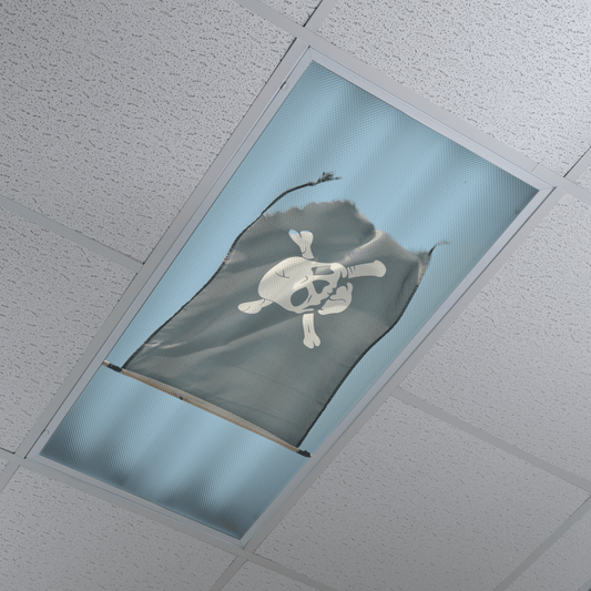 DesignScape - 2'x4' Pirates - Apollo Design Made