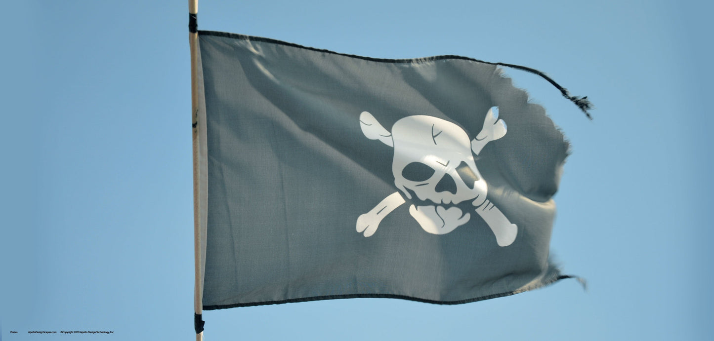 DesignScape - 2'x4' Pirates - Apollo Design Made