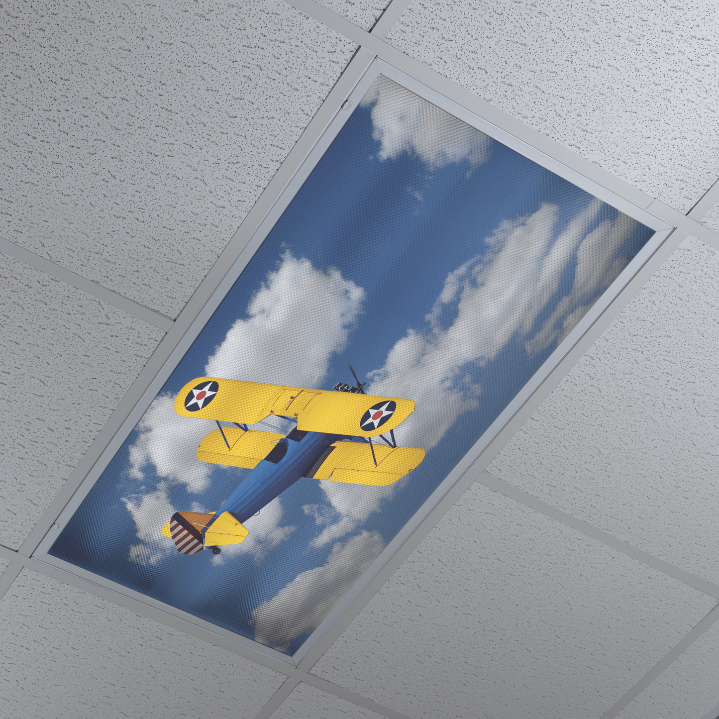 DesignScape - 2'x4' Plane In Sky - Apollo Design Made
