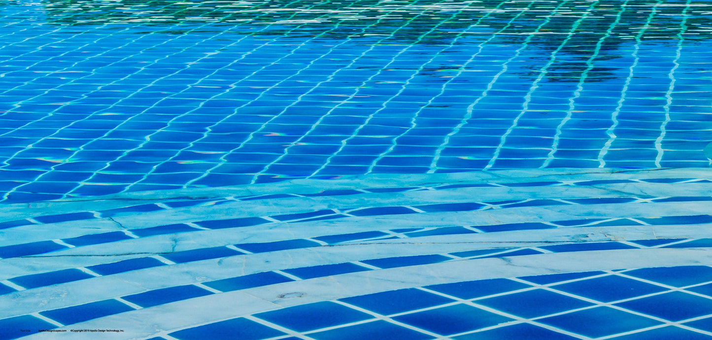 DesignScape - 2'x4' Pool Side - Apollo Design Made