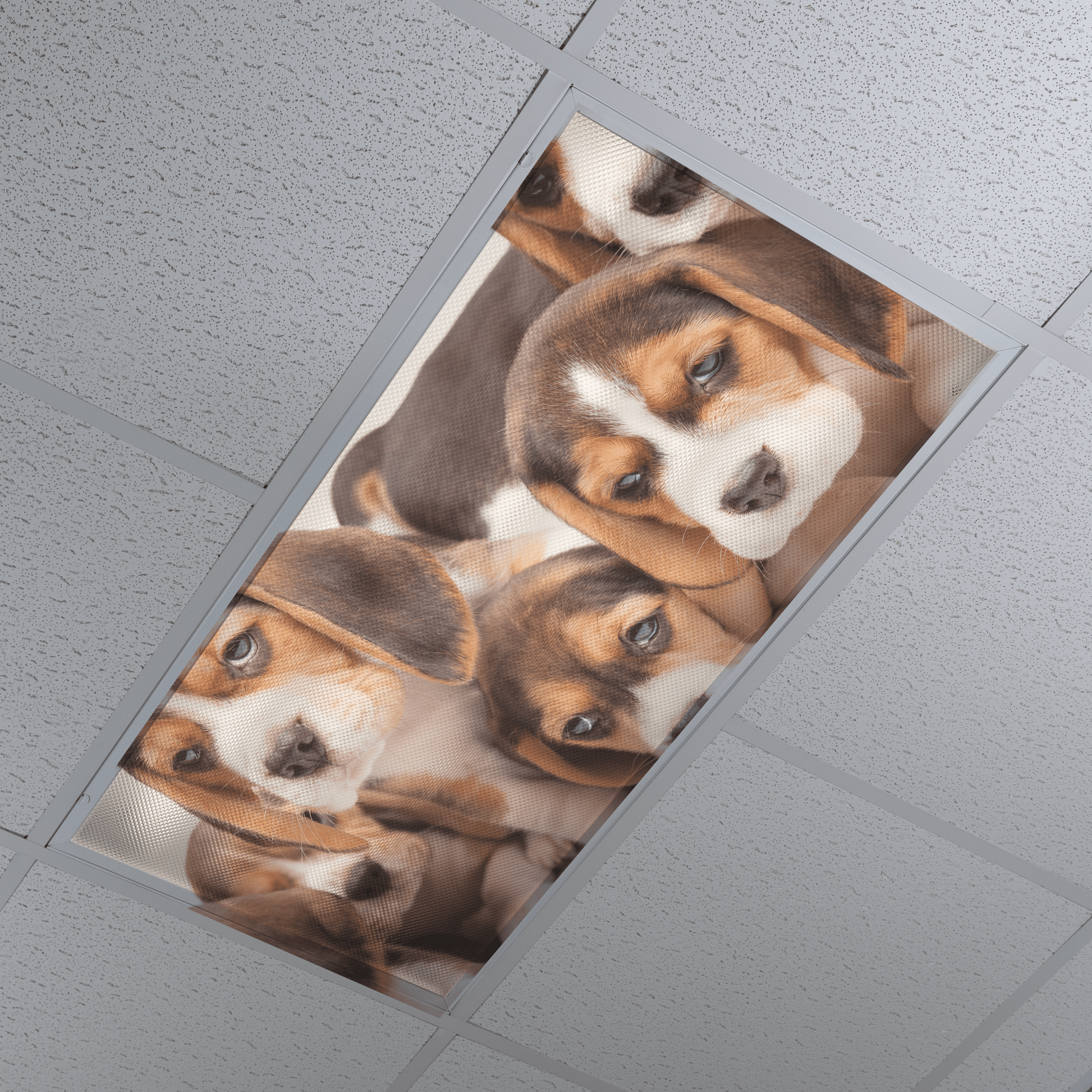 DesignScape - 2'x4' Puppies - Apollo Design Made