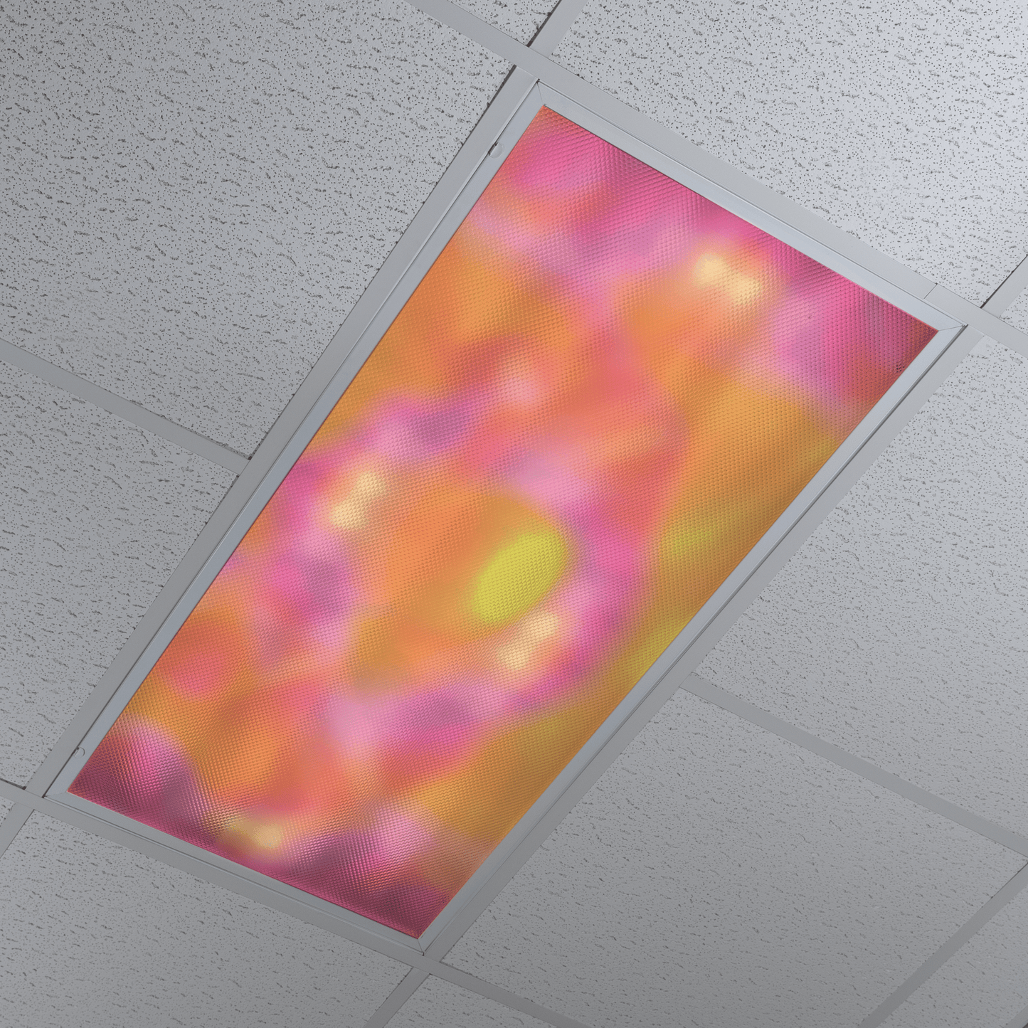 DesignScape - 2'x4' Radiation - Apollo Design Made
