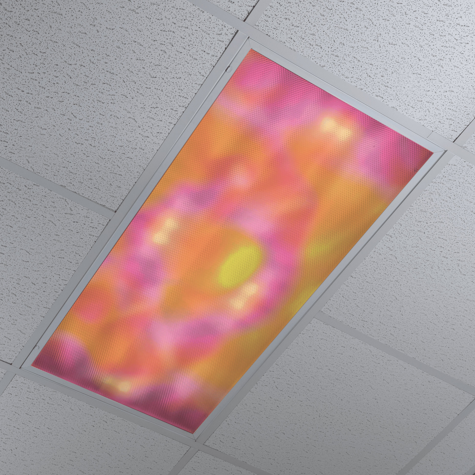 DesignScape - 2'x4' Radiation - Apollo Design Made