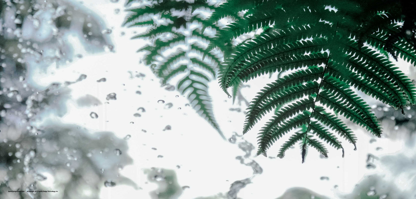 DesignScape - 2'x4' Rain Forest - Apollo Design Made