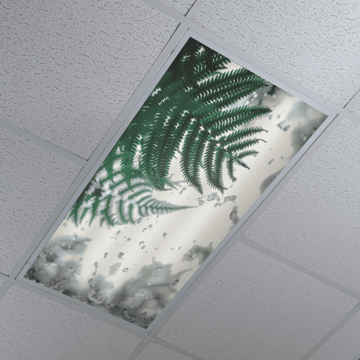DesignScape - 2'x4' Rain Forest - Apollo Design Made