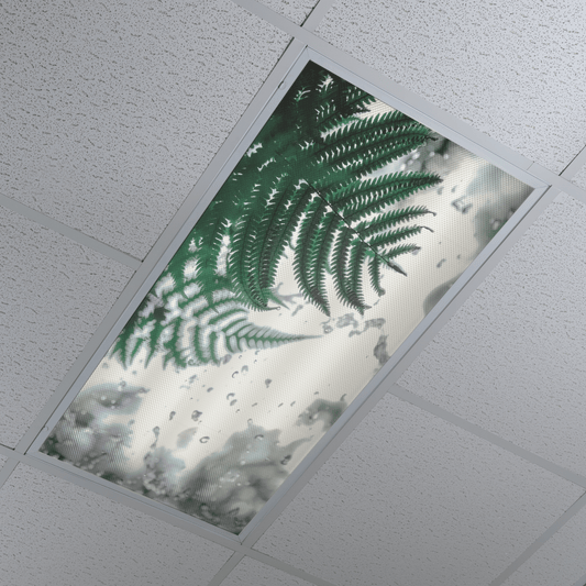 DesignScape - 2'x4' Rain Forest - Apollo Design Made