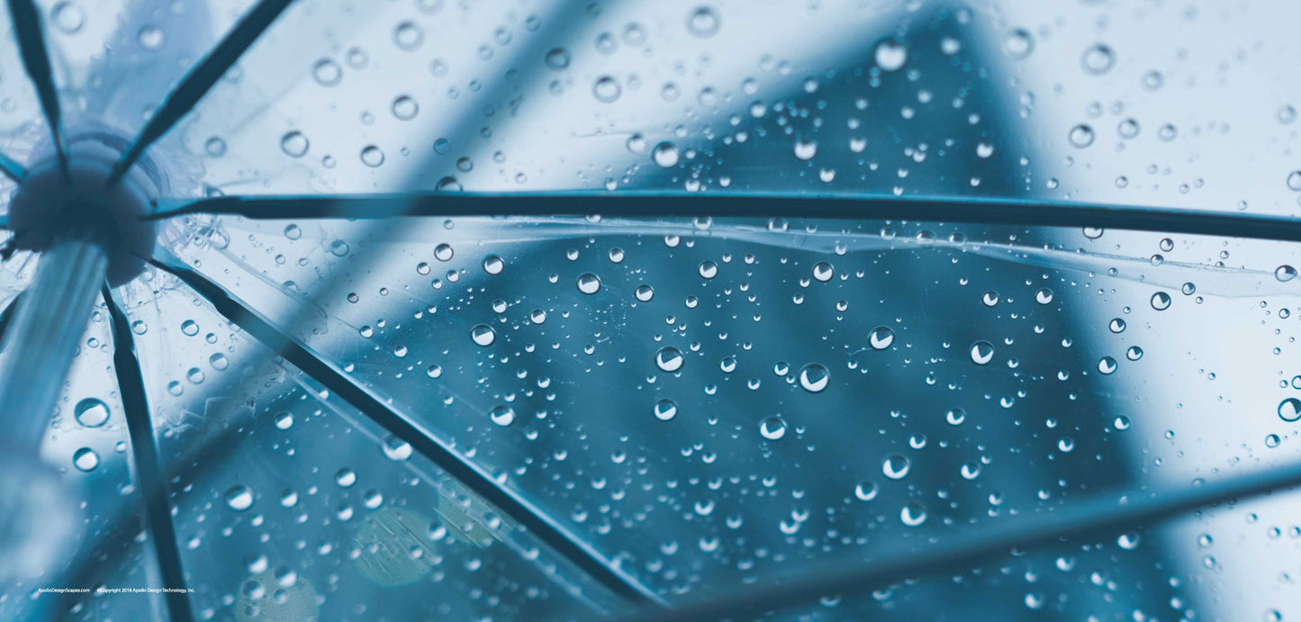 DesignScape - 2'x4' Rainy Day - Apollo Design Made