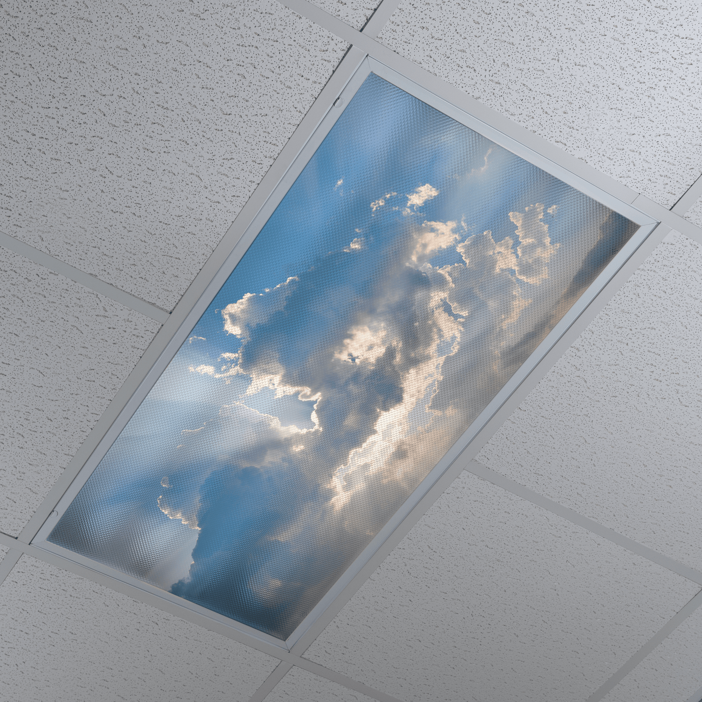 DesignScape - 2'x4' Rise and Shine - Apollo Design Made