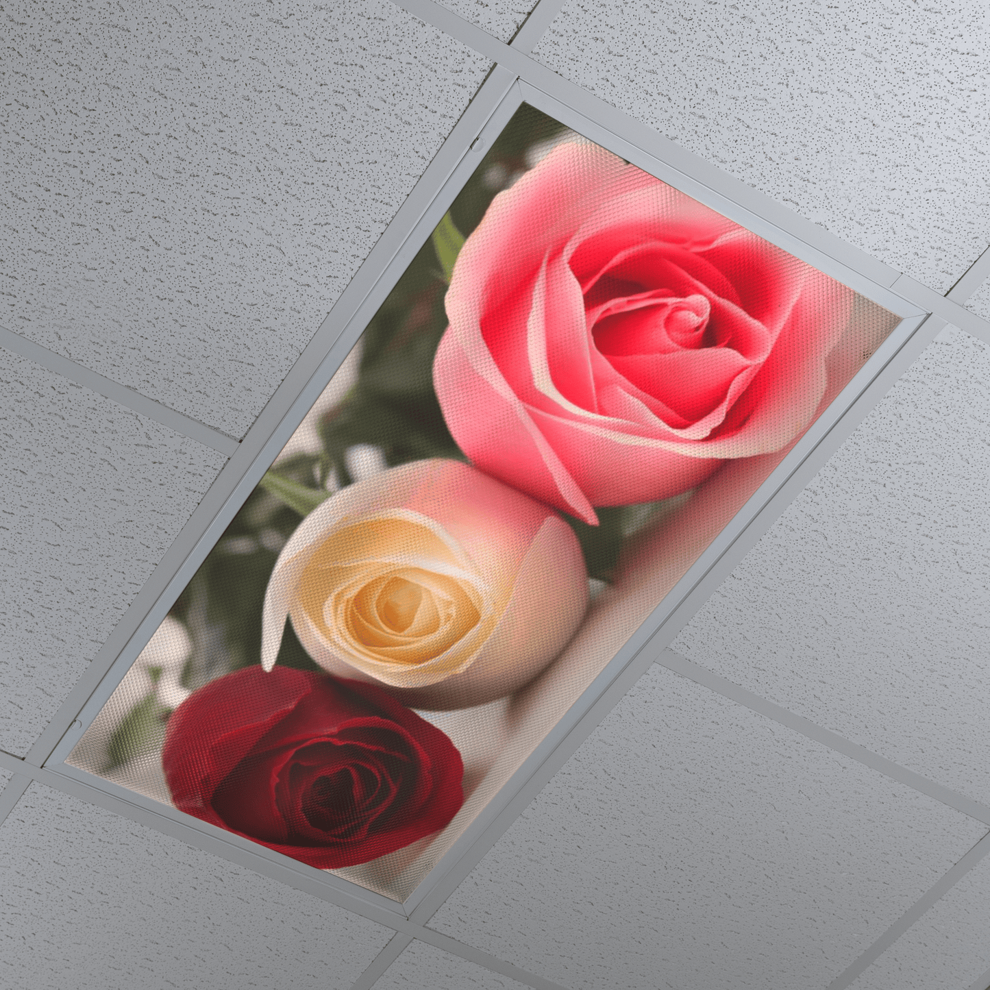 DesignScape - 2'x4' Rose Trio - Apollo Design Made