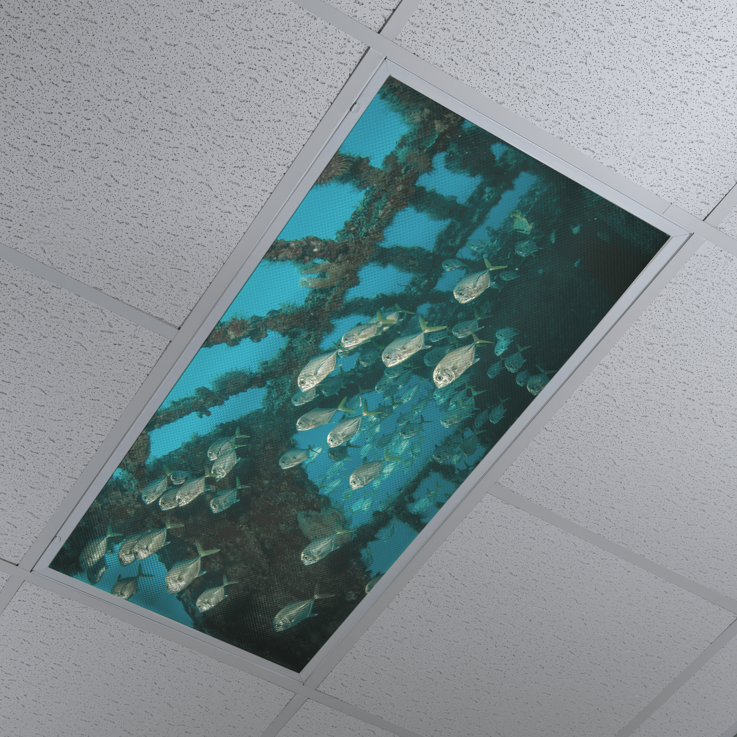 DesignScape - 2'x4' School of Fish - Apollo Design Made