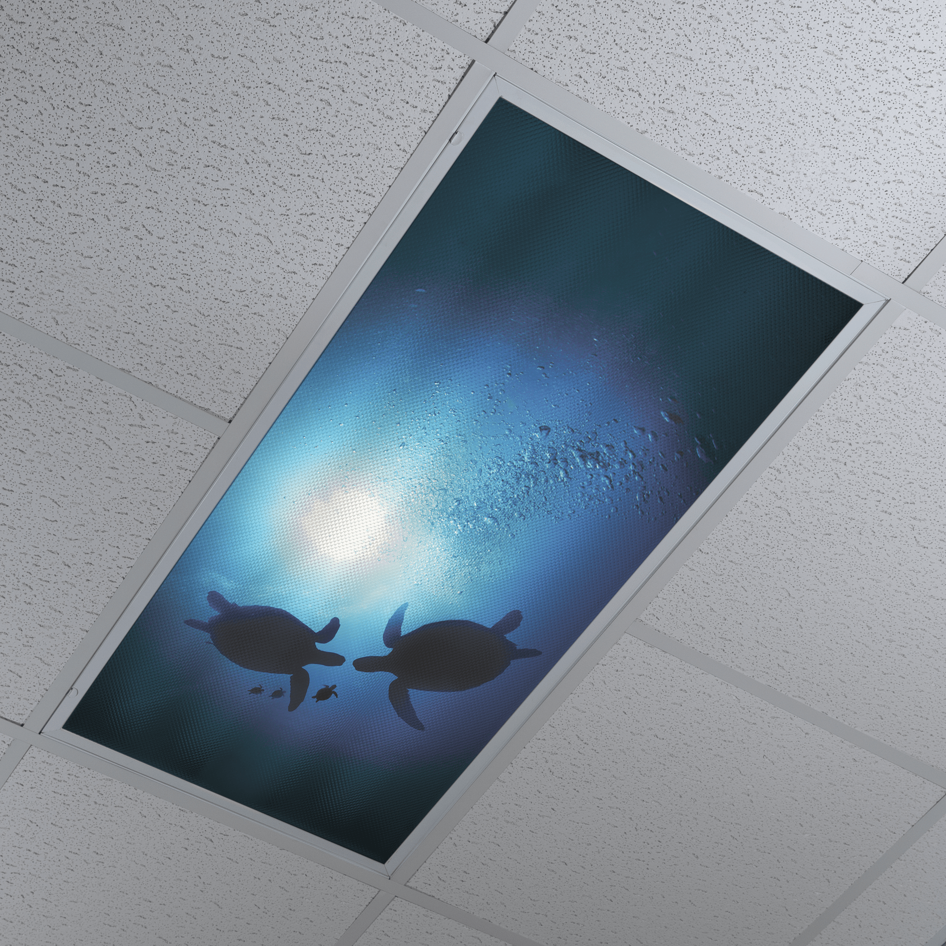 DesignScape - 2'x4' Sea Turtles - Apollo Design Made