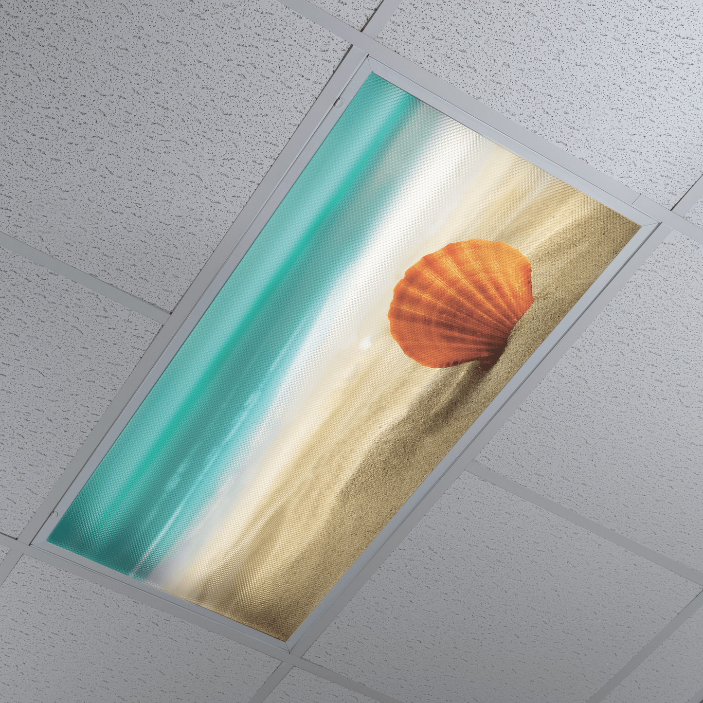 DesignScape - 2'x4' Seashell Beach - Apollo Design Made