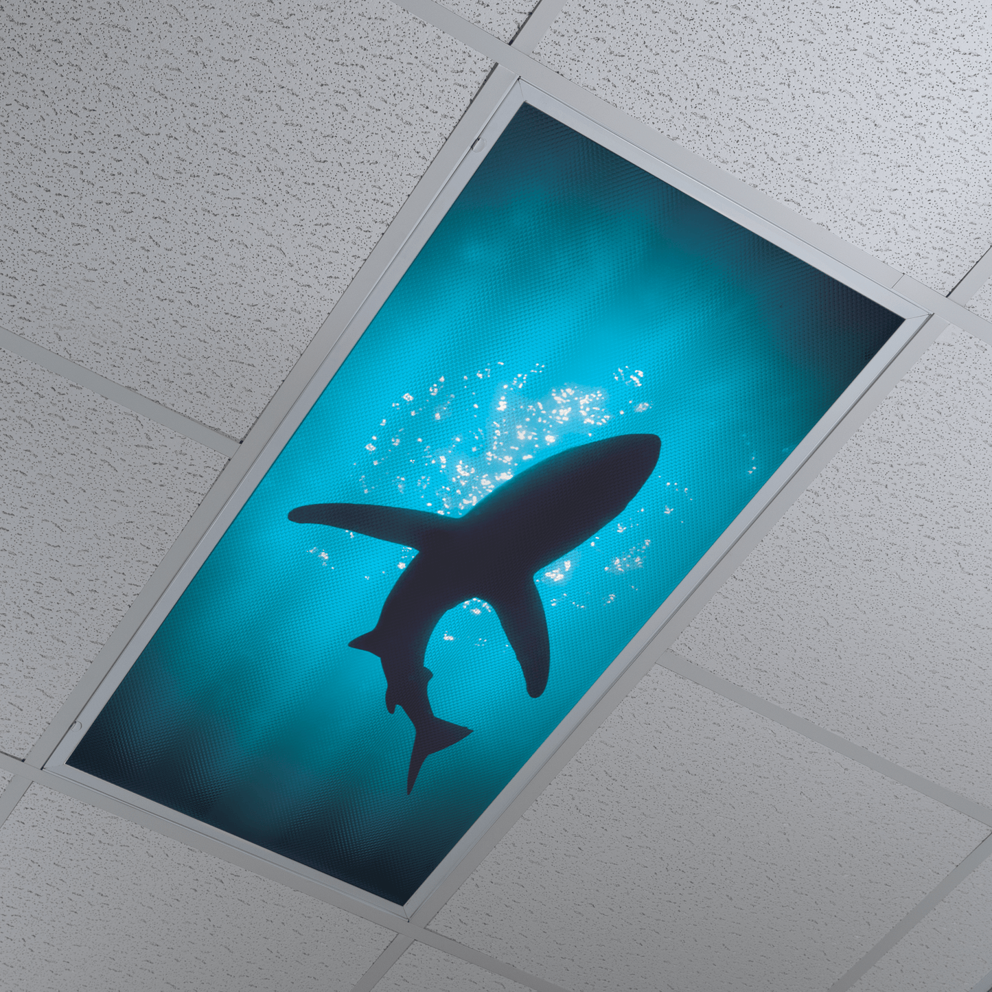 DesignScape - 2'x4' Shark - Apollo Design Made