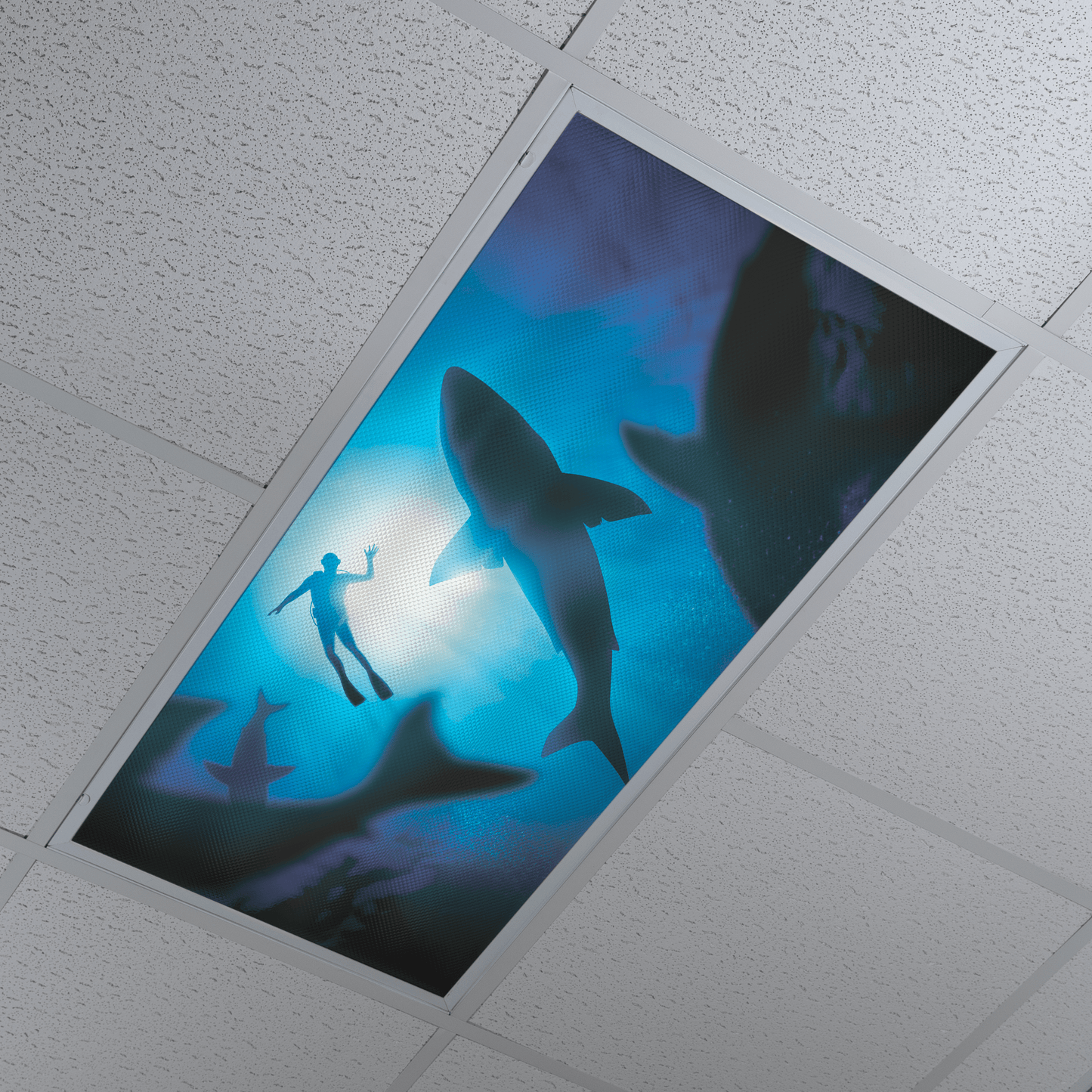 DesignScape - 2'x4' Shark Swim - Apollo Design Made