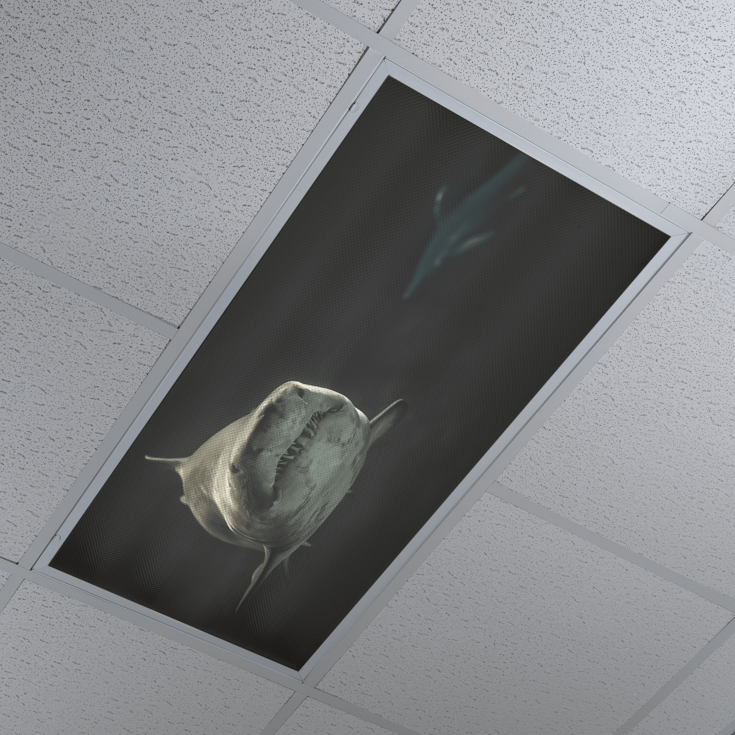 DesignScape - 2'x4' Sharks Alert - Apollo Design Made