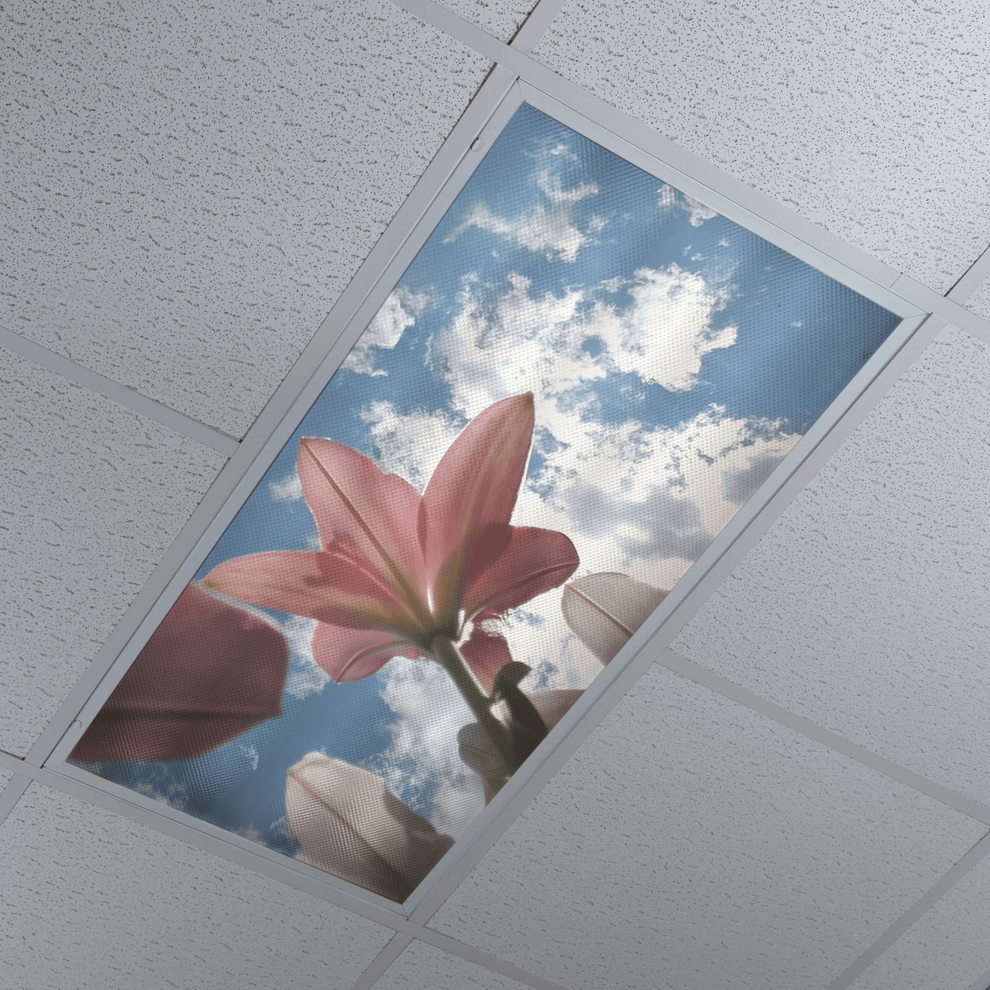 DesignScape - 2'x4' Sky Gazing - Apollo Design Made