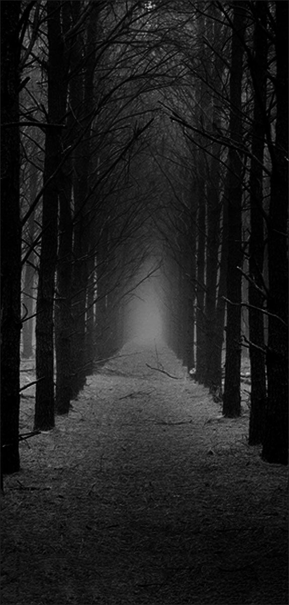 DesignScape - 2'x4' Snowy Path - Apollo Design Made