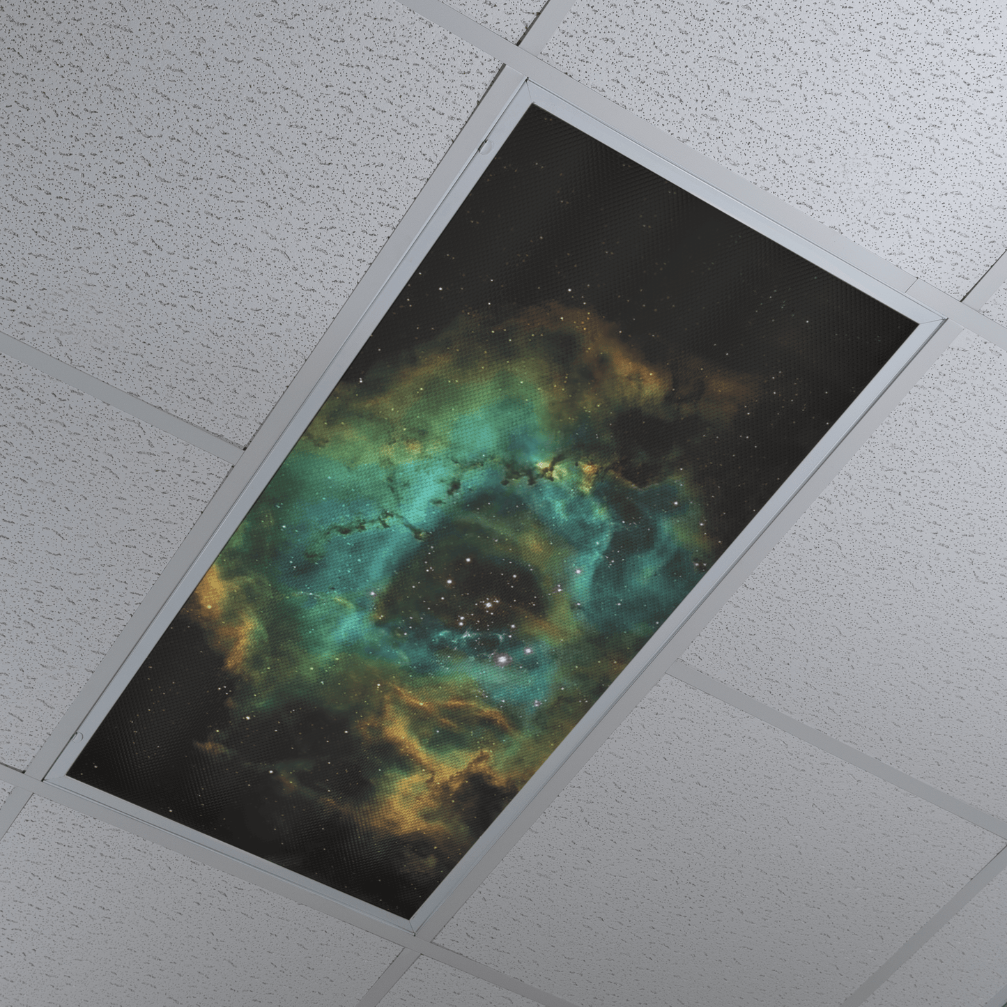 DesignScape - 2'x4' Solar Plex - Apollo Design Made