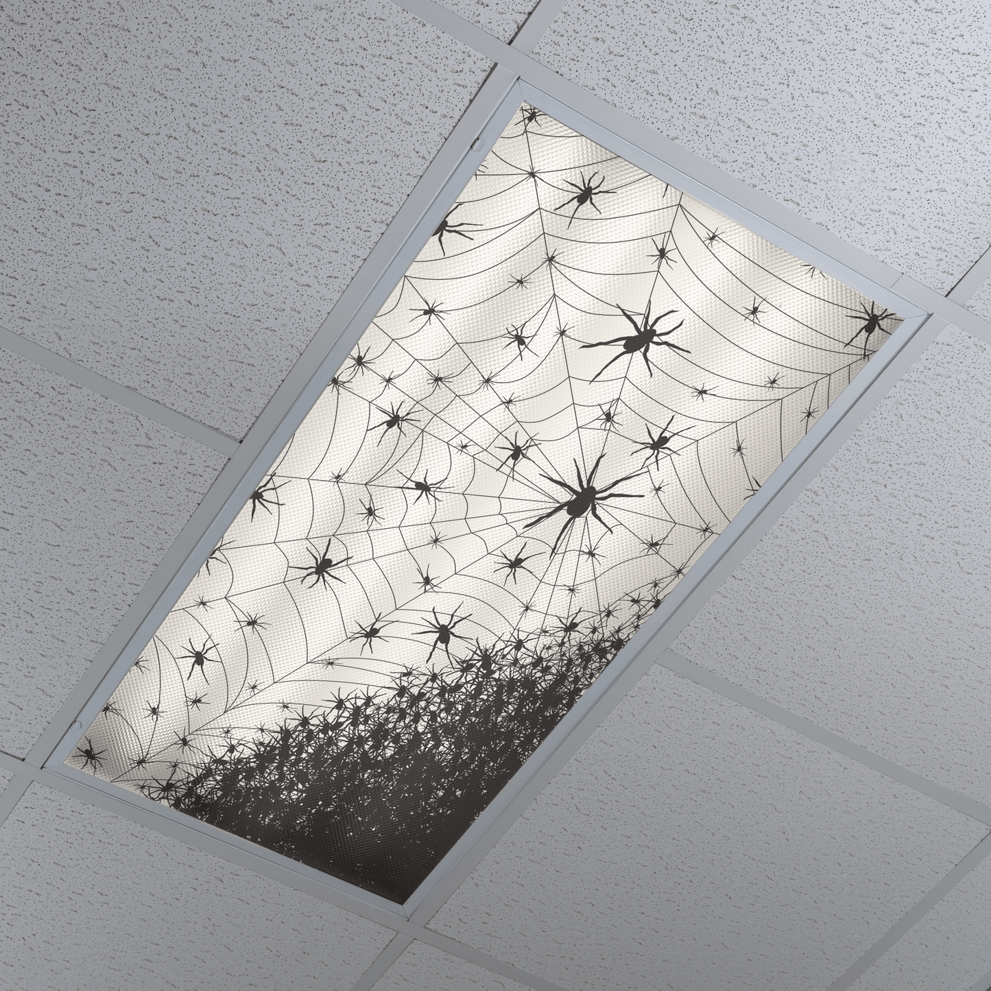 DesignScape - 2'x4' Spider Web - Apollo Design Made