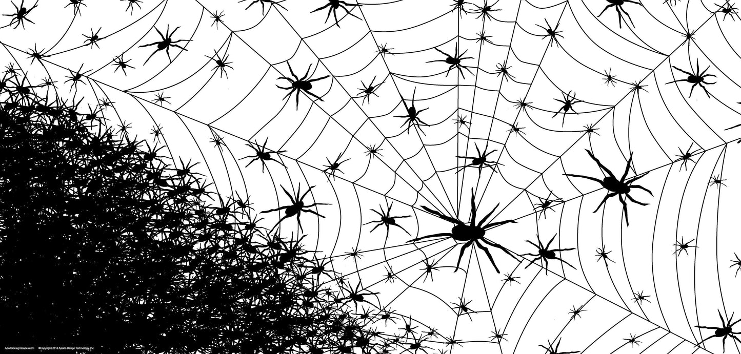 DesignScape - 2'x4' Spider Web - Apollo Design Made