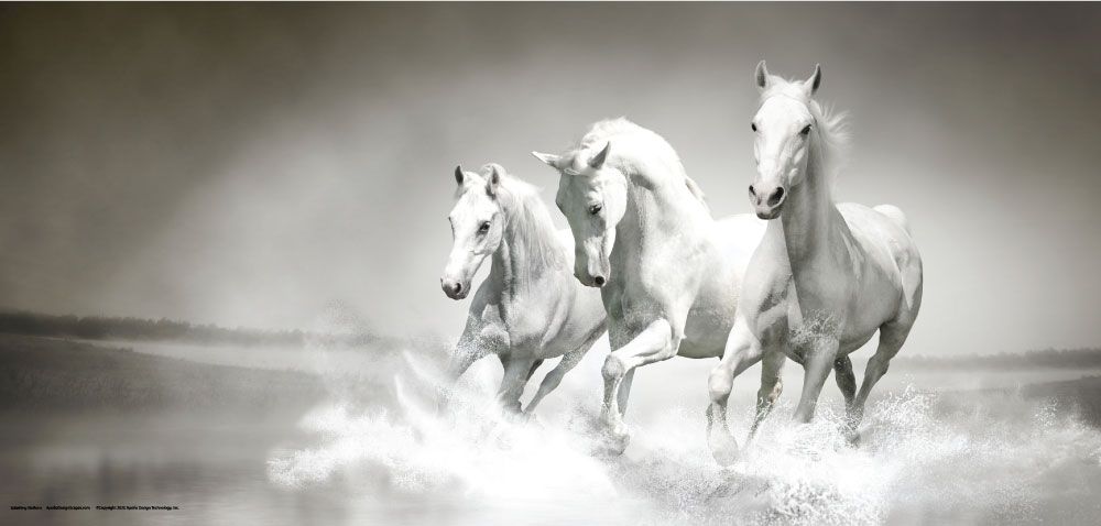DesignScape - 2'x4' Splashing Stallions - Apollo Design Made