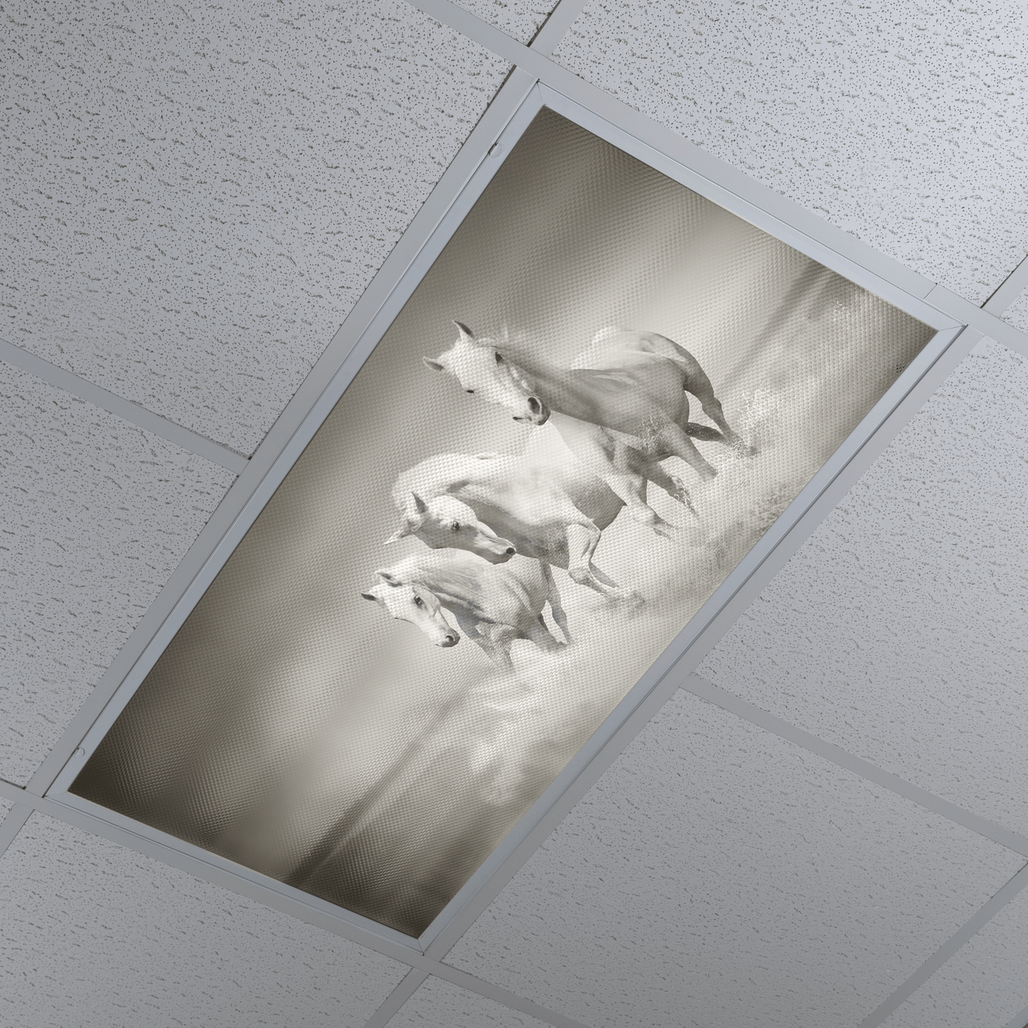 DesignScape - 2'x4' Splashing Stallions - Apollo Design Made