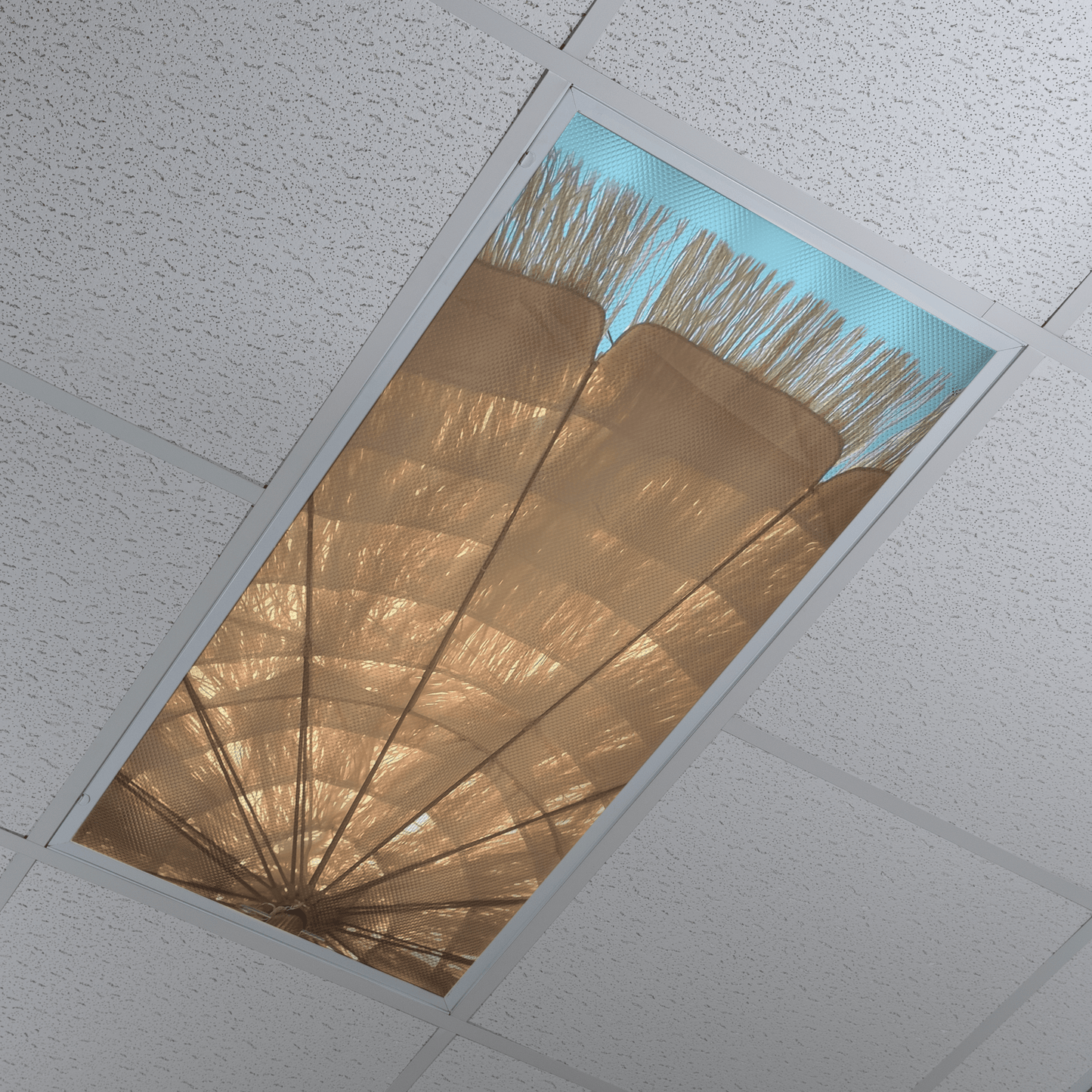 DesignScape - 2'x4' Straw Umbrella - Apollo Design Made