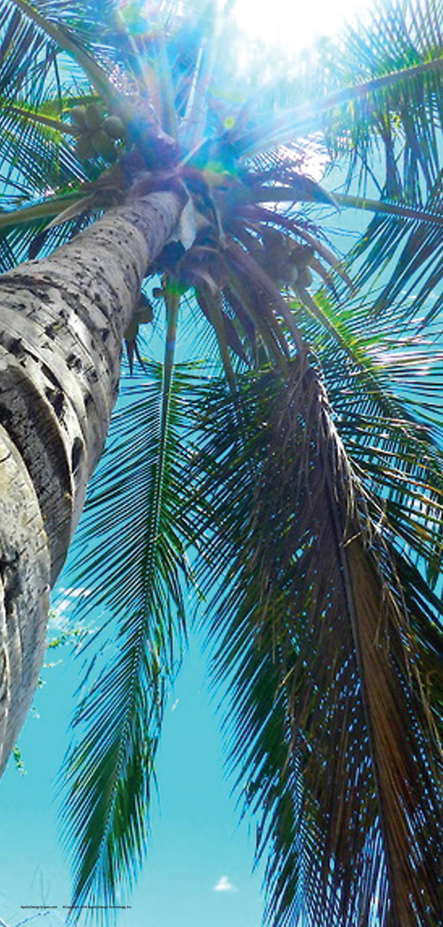 DesignScape - 2'x4' Summer Loving - Apollo Design Made